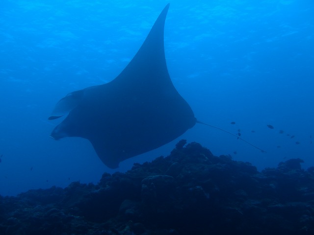 20151023181855.jpg 20151023181855.jpg