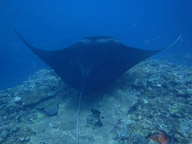 20151023181856.jpg 20151023181856.jpg