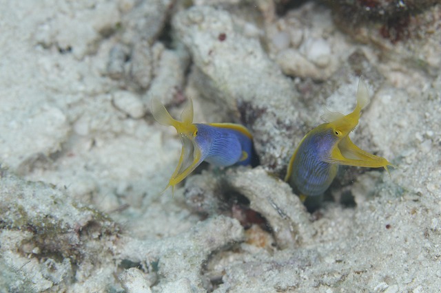 20151024183113.jpg 20151024183113.jpg