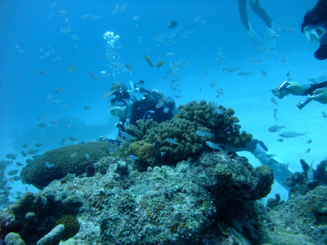 20151025180848.jpg 20151025180848.jpg