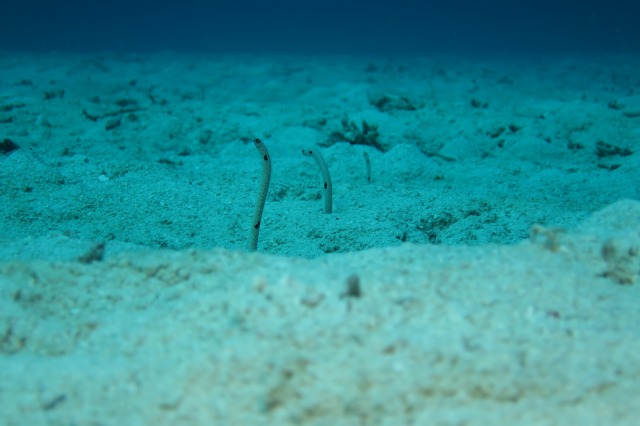 20151025180849.jpg 20151025180849.jpg