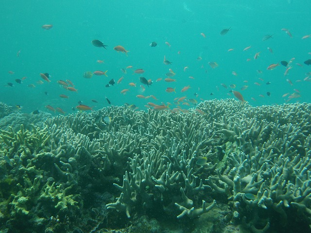 20151026165706.jpg 20151026165706.jpg