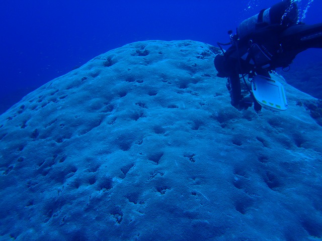 20151115190310.jpg 20151115190310.jpg