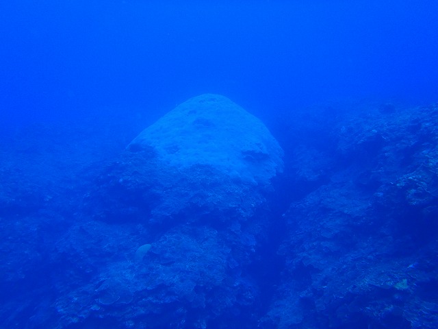 20151115190311.jpg 20151115190311.jpg