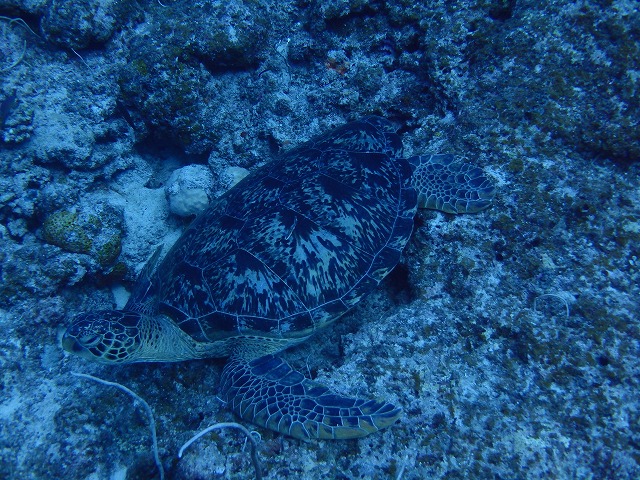 20151115190312.jpg 20151115190312.jpg