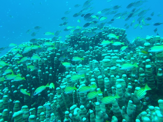 20151115190313.jpg 20151115190313.jpg