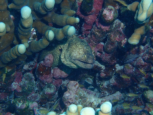 20151115190314.jpg 20151115190314.jpg