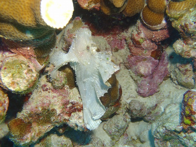 20151115190315.jpg 20151115190315.jpg