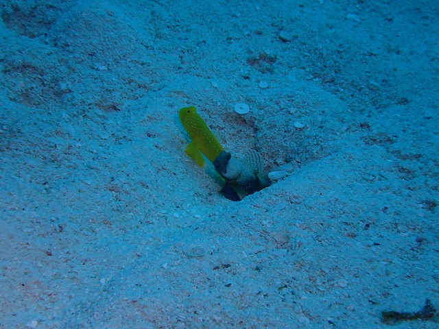 20151115190317.jpg 20151115190317.jpg