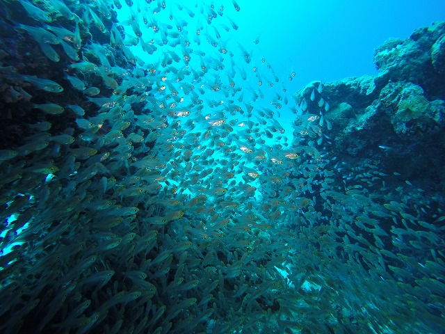 20151117180746.jpg 20151117180746.jpg