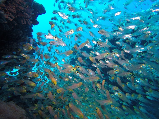 20151117180747.jpg 20151117180747.jpg