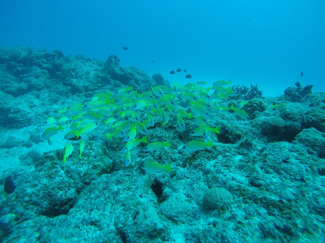 20151117180748.jpg 20151117180748.jpg