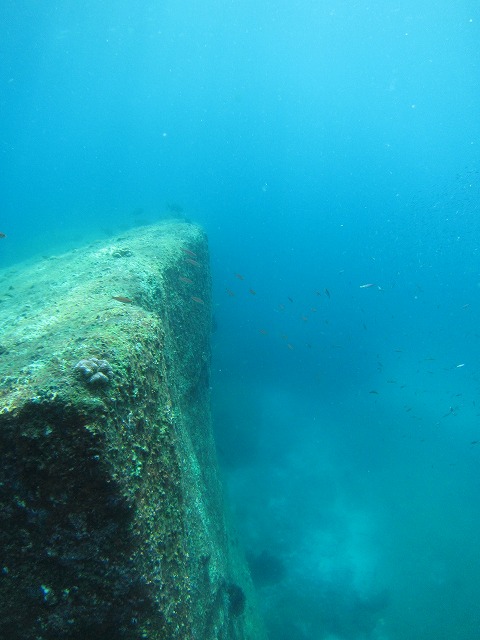 20151118231328.jpg 20151118231328.jpg