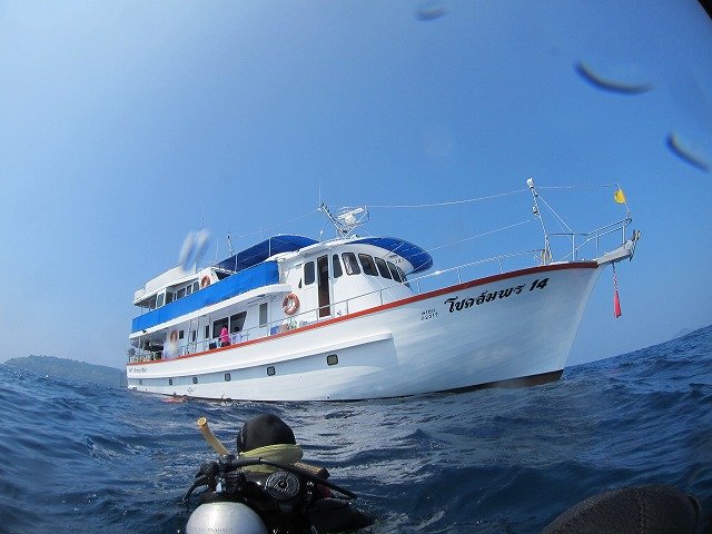 20151118231329.jpg 20151118231329.jpg