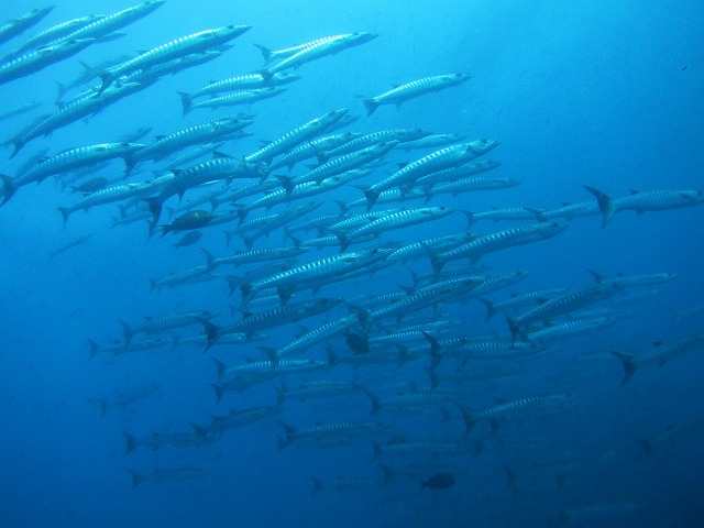 20151118231536.jpg 20151118231536.jpg