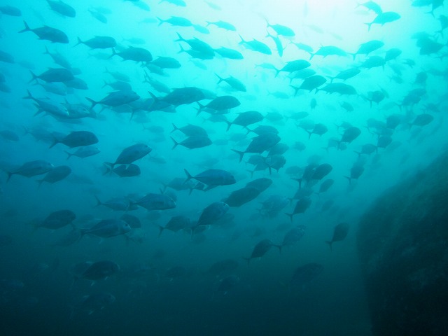 20151118231537.jpg 20151118231537.jpg