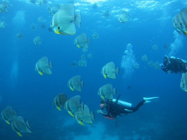 20151118231538.jpg 20151118231538.jpg