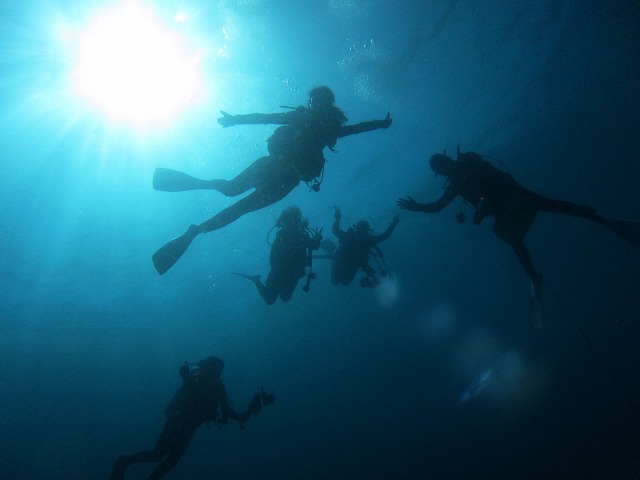 20151118231540.jpg 20151118231540.jpg