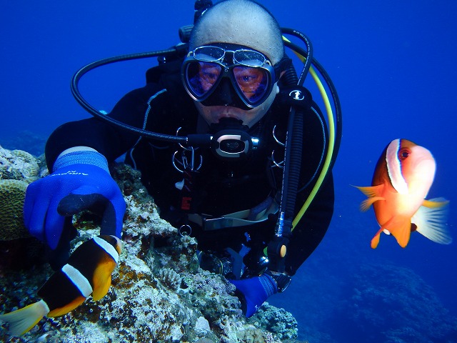 20151119172401.jpg 20151119172401.jpg