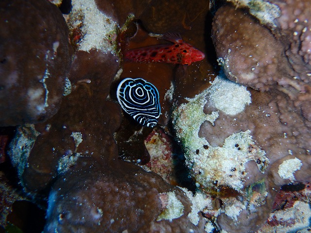 20151119172402.jpg 20151119172402.jpg