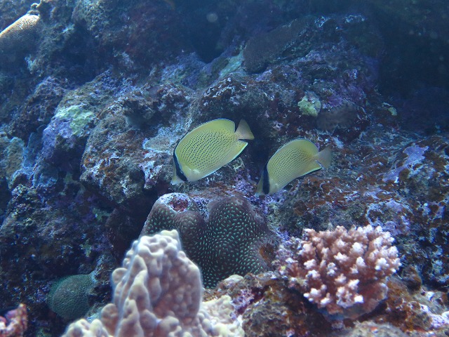 20151119172404.jpg 20151119172404.jpg