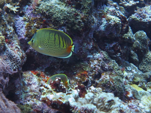 20151119172407.jpg 20151119172407.jpg