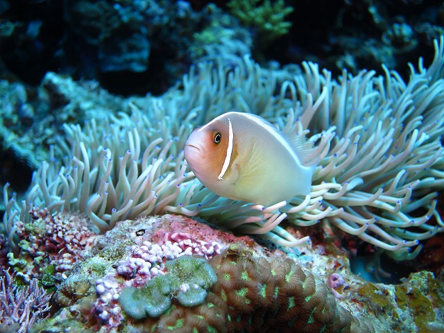 20151119172409.jpg 20151119172409.jpg