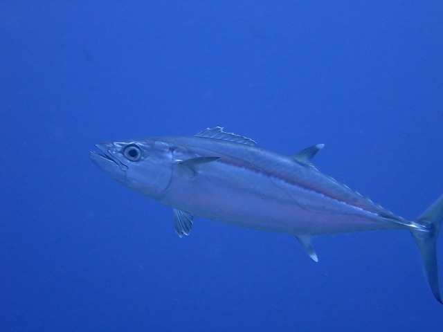 20151119172413.jpg 20151119172413.jpg