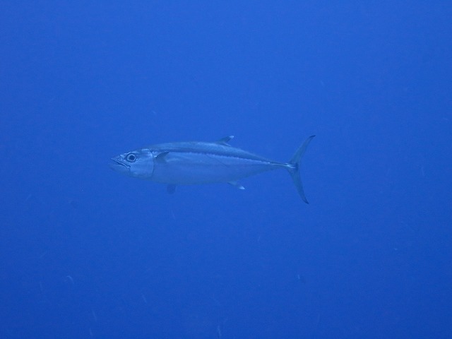 20151119172414.jpg 20151119172414.jpg