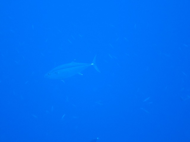 20151119172416.jpg 20151119172416.jpg