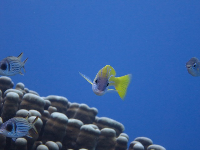 20151119172417.jpg 20151119172417.jpg