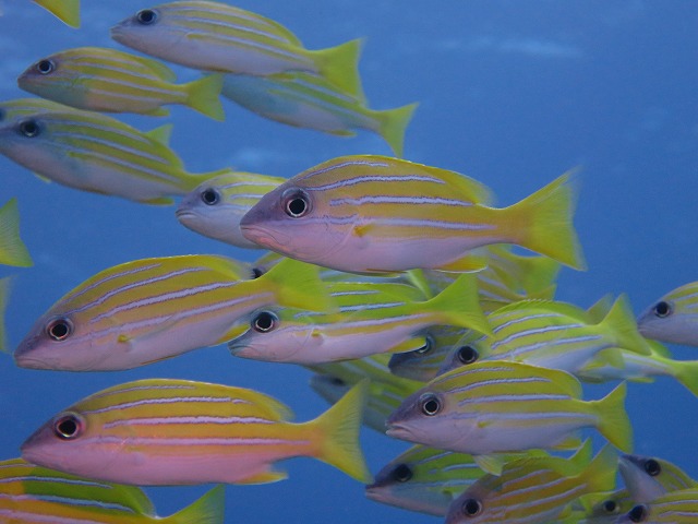 20151119172418.jpg 20151119172418.jpg