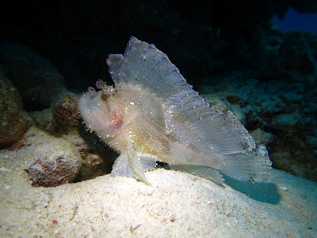 20151119172419.jpg 20151119172419.jpg