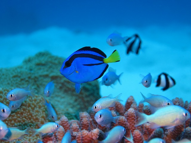 20151119183953.jpg 20151119183953.jpg