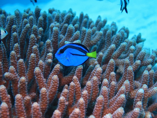 20151119183954.jpg 20151119183954.jpg