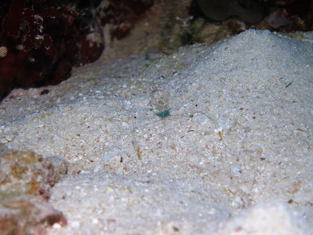 20151119183956.jpg 20151119183956.jpg