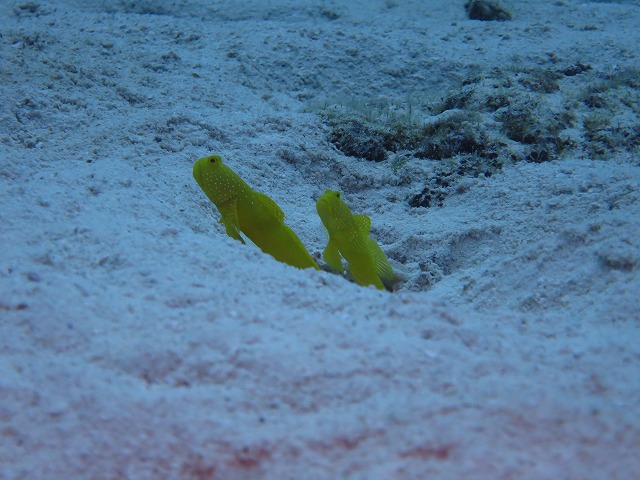 20151119183958.jpg 20151119183958.jpg