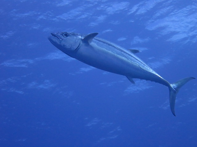 20151120170456.jpg 20151120170456.jpg