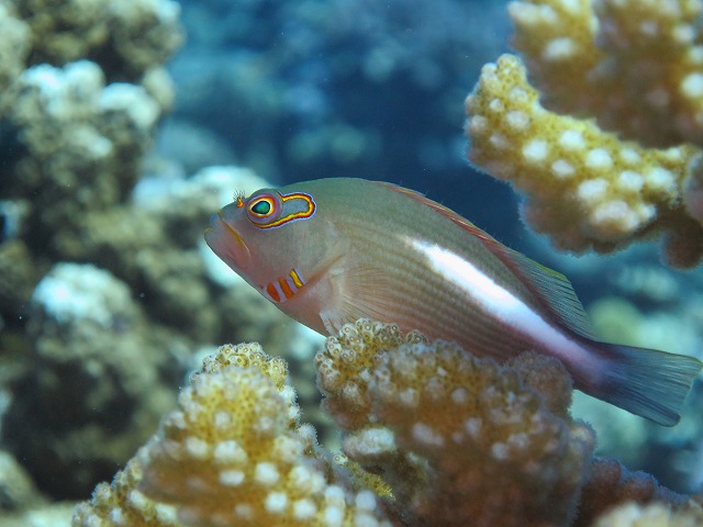 20151120170458.jpg 20151120170458.jpg