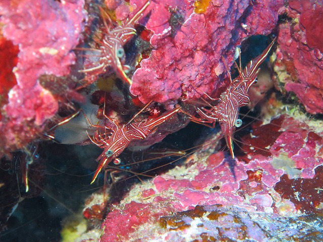 20151120170501.jpg 20151120170501.jpg