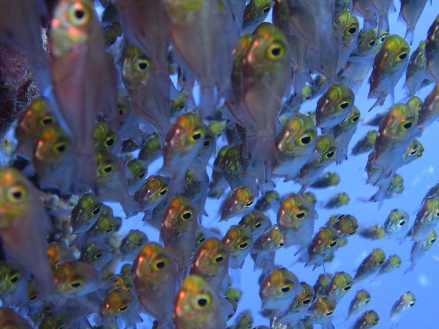 20151120170502.jpg 20151120170502.jpg