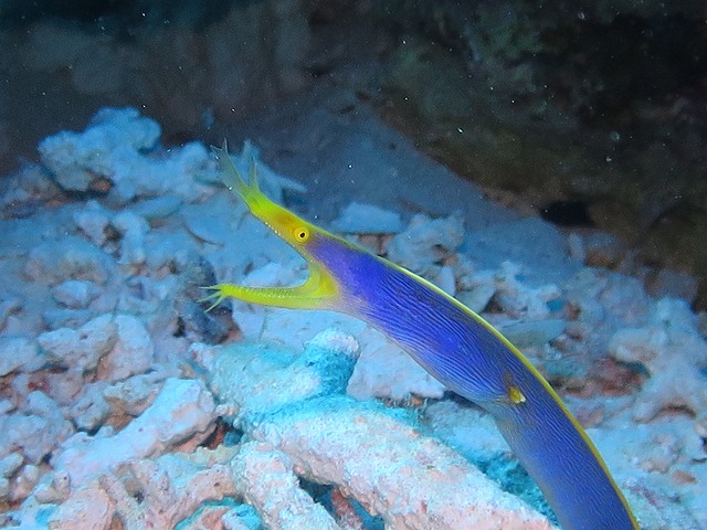 20151120170508.jpg 20151120170508.jpg