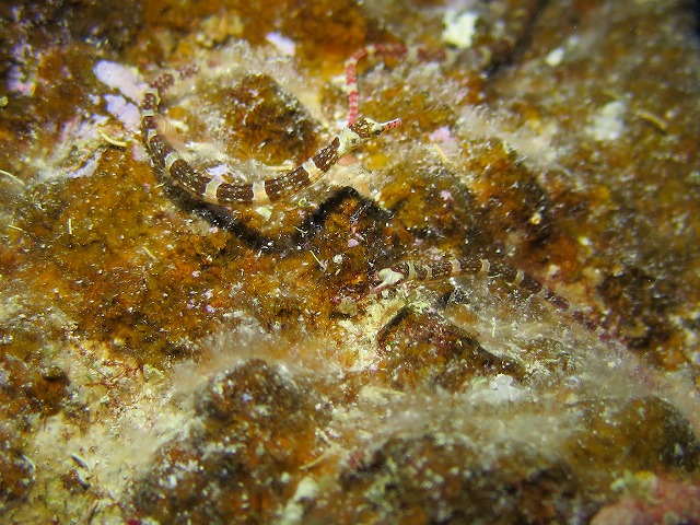 20151120170510.jpg 20151120170510.jpg