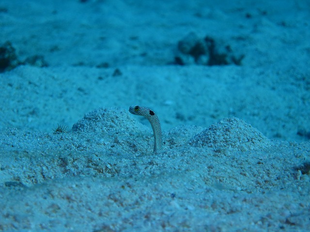 20151120170511.jpg 20151120170511.jpg