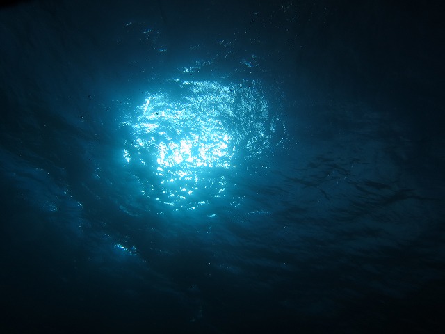 20151120170512.jpg 20151120170512.jpg