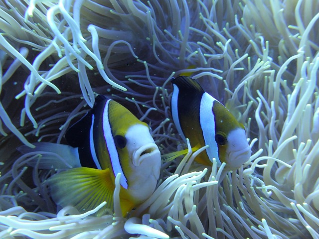 20151120170514.jpg 20151120170514.jpg