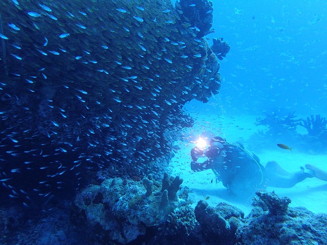 20151120170515.jpg 20151120170515.jpg