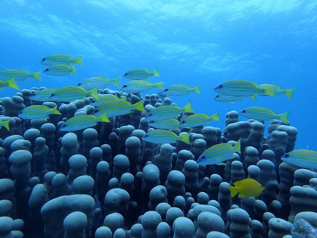 20151201182734.jpg 20151201182734.jpg