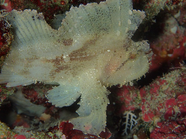 20151201182735.jpg 20151201182735.jpg