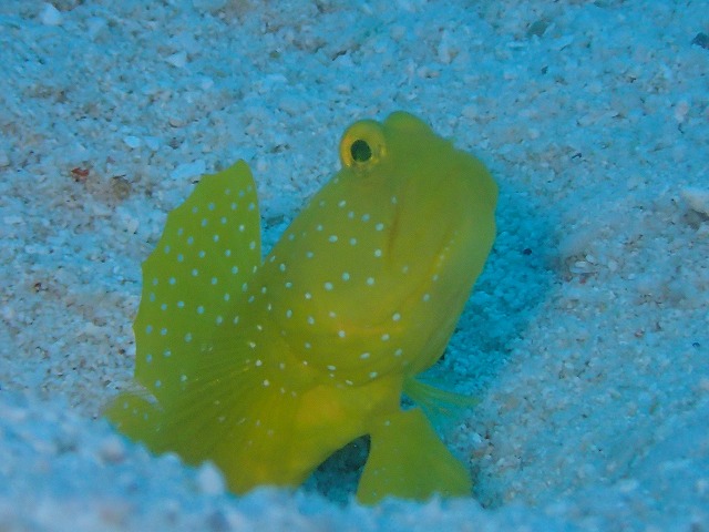 20151201182736.jpg 20151201182736.jpg